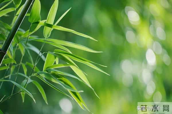 发现了没有,很多丧偶的女人,在外面从来不说!自己是已经丧偶的