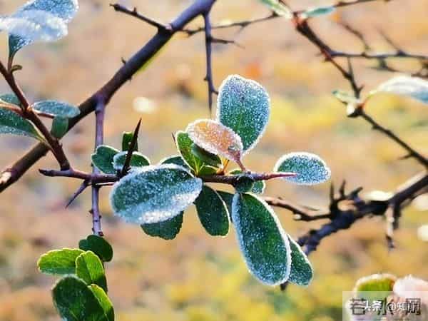 女人动了情,其实不会叫你“老公”,而是叫四个称呼