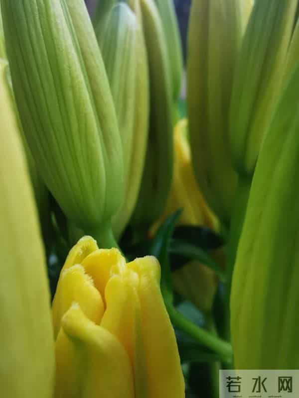 2025，最后一波好运已发货！请你签收属于你的好运！