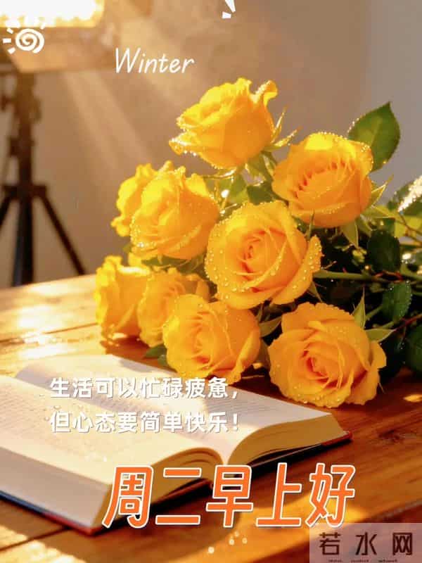 12月9日周二早安,生活最美的样子,是平平安安、喜乐常在。