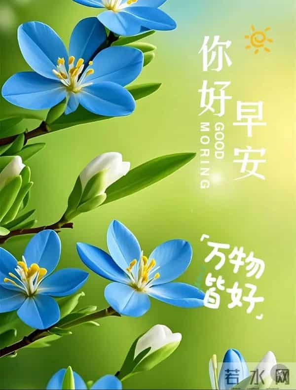 2025.12.09 冬天周二早安愉快!最新精美周二早上好温馨祝福语图片