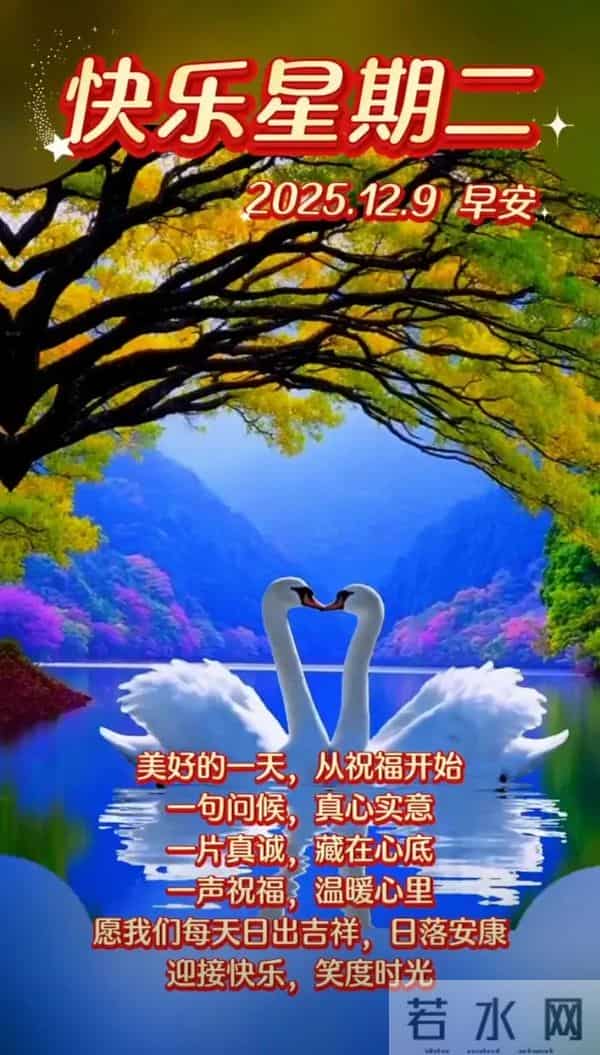 2025年12月09日周二早安 早上好图片最新今天 温馨淡雅的早安图片