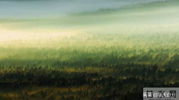 两性关系：60多岁的阿姨们坦言，女人找老伴，最大的需求是这一点