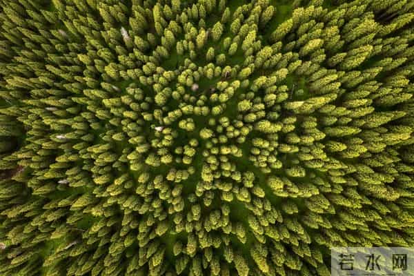 学会一种很厉害的本事：大大方方地“小气”