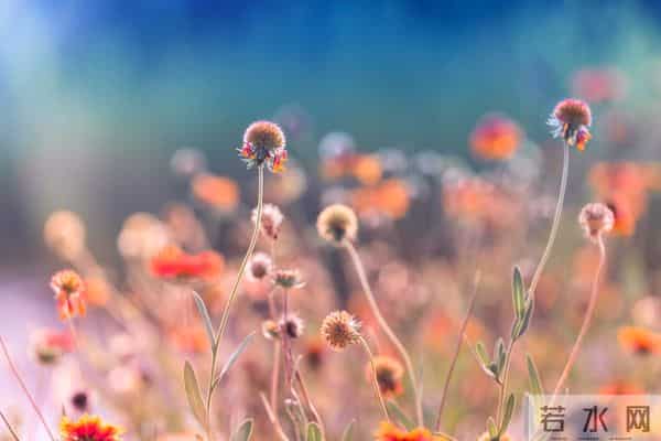 男人对你，经常有这些主动，就是深爱你了