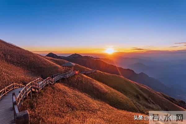 生活的苦，唯有自渡：扛住所有难，才能活成自己的岸