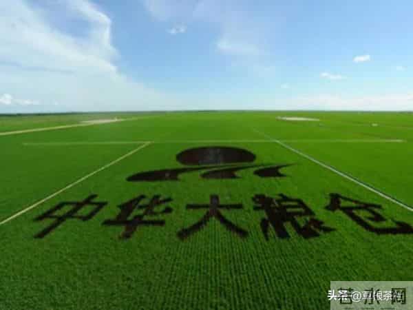 知青往事：离开北大荒时我塞给他一张纸条，三年后我俩喜结连理