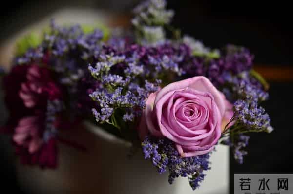 爱已入骨,此生不负,深情在心,相思一生