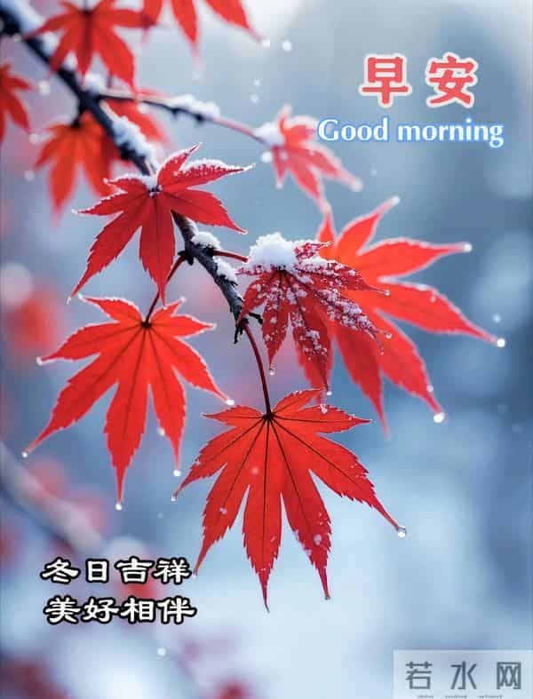 2025.12.10 冬天周三早安愉快！最新精美周三早上好温馨祝福语图片