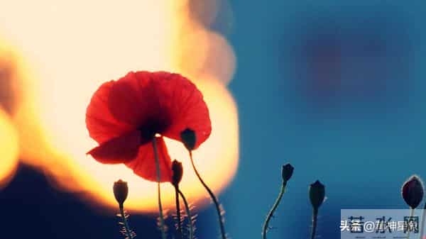 巳蛇，12月9日12月10号，尤其是10号，不要怀疑，这是天意！