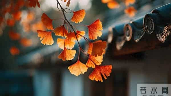 过七十岁，能混到以下几点，就算成功，就该知足