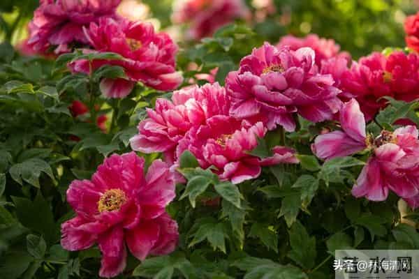 所有不安都是虚惊一场?放宽心,焦虑不过是自寻烦恼!