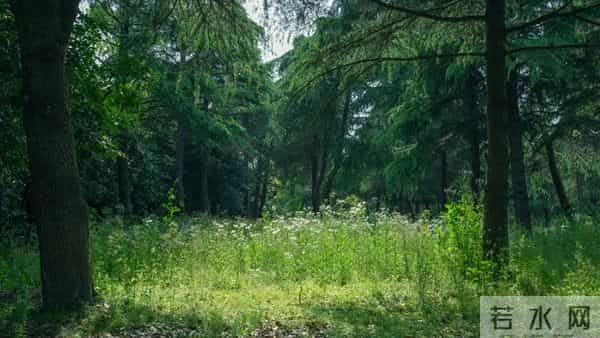学会一种很厉害的本事：大大方方地“小气”