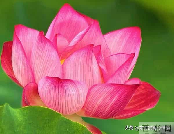 征服中年女人的真招，不在嘴皮子上，而是“距离产生美”