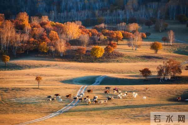 六十岁以后,人生已经接近尾声,能混到以下几点,就该知足了