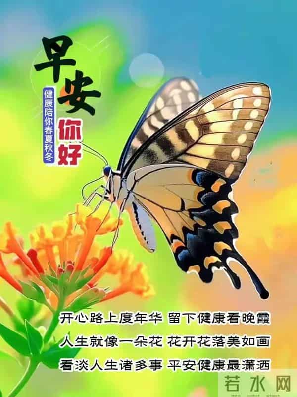 早上好早安祝福美图-晨光初露照心田,幸福快乐永相随
