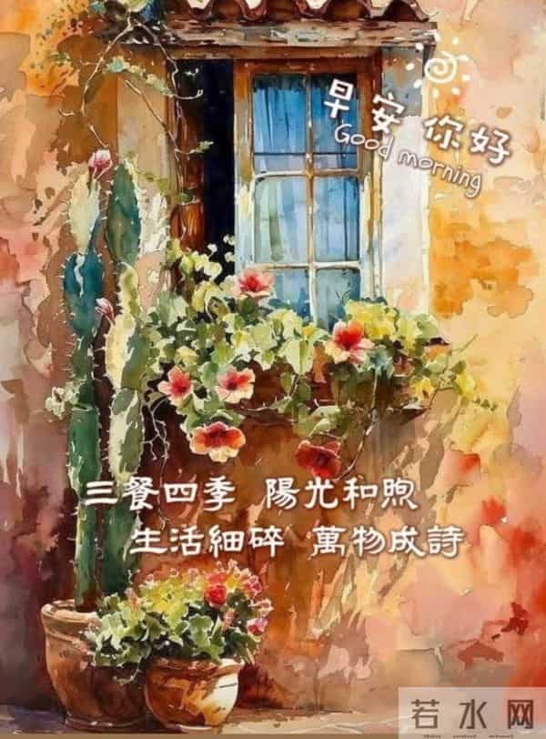 早安,以花寄暖,日常皆安。