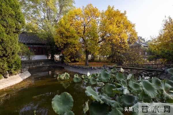 夫妻生活里，女人最在意的5个亲密需求，多数男人总在忽略