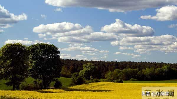 12月10日至16日，子鼠，下周开始，可能会有事发生