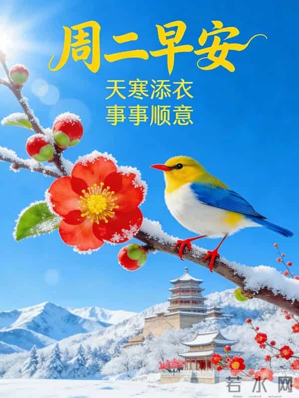 天寒舔衣,事事顺意|2025.12.9周二早安祝福文案图片壁纸海报