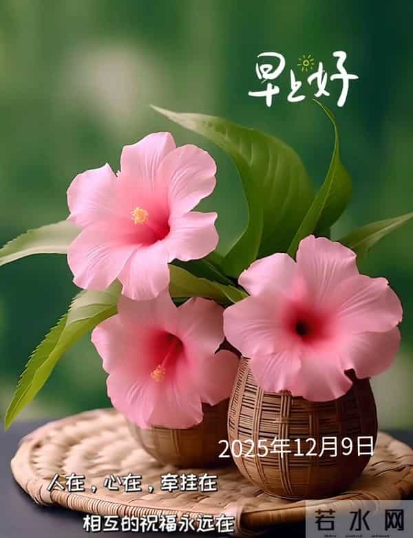 12月9日早上好 平凡的生活有知已和朋友 美好的清晨不忘牵挂与问候