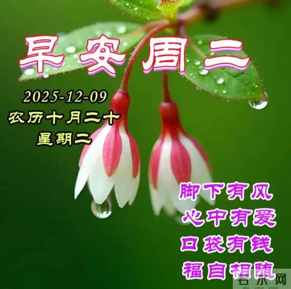 2025.12.09今日十月二十——早上好，周二祝福问候语，早安图片