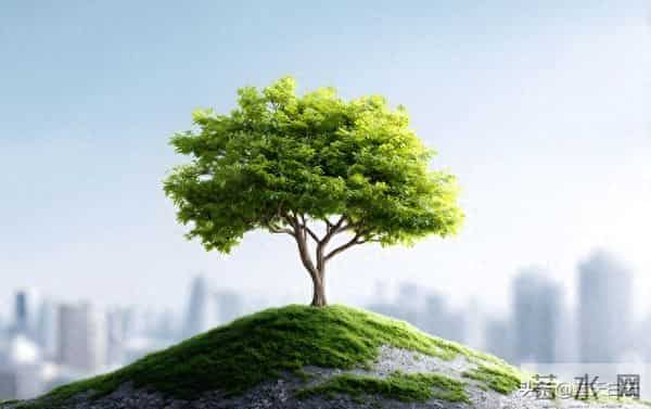 两性关系：60多岁的阿姨们坦言，女人找老伴，最大的需求是这一点