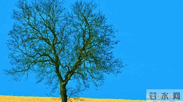 12月10日，射手座，未来9日，会有大的事发生！