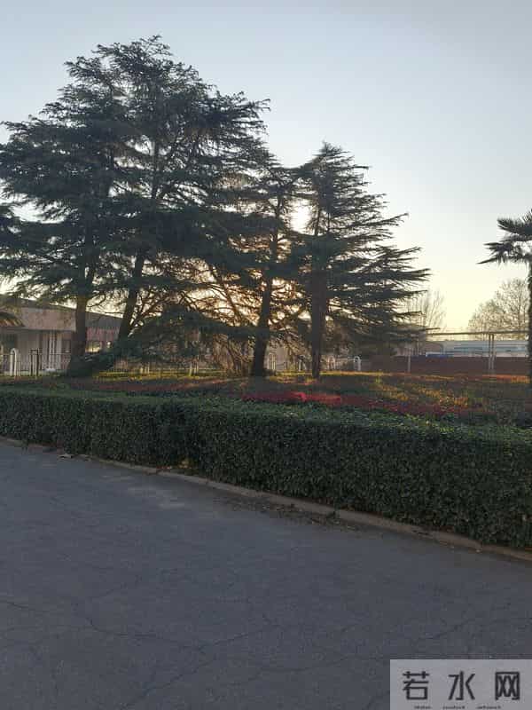 儿子掏空60万存款买50万的车后,母亲要砸车了!