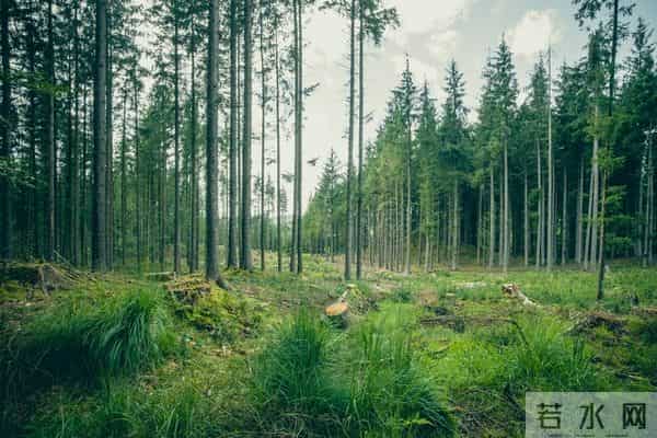 学会一种很厉害的本事：大大方方地“小气”