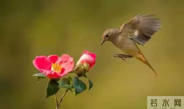 有专家预测:用不了10年,生男孩家庭不再吃亏,三个原因很真实!