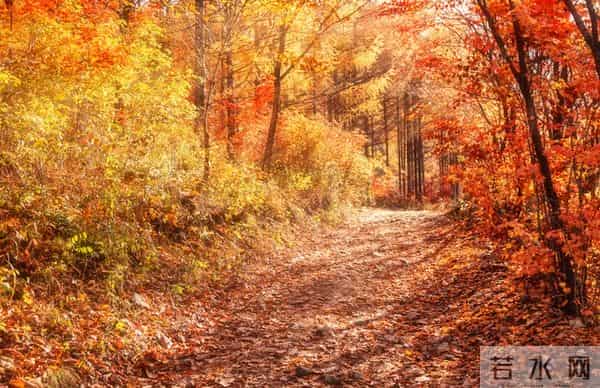 亲爱的，我爱你！牵挂你到老，想念你一生