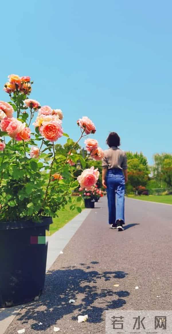 能在这个时间刷到我，说明你的人生要开始转运了。接下来往下看