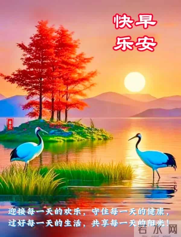 晨安伴暖，心随景柔