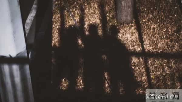 兄弟姐妹翻脸后,这8种做法,既留体面又护亲情