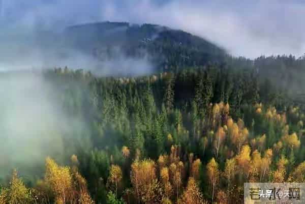 尽量不要跟身边任何人！包括你的亲人，分享这4件事