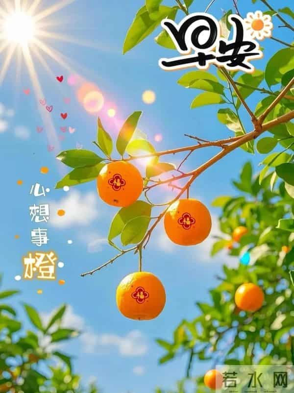 12月10日早上好 早上好温馨问候图片 早安图片最新今天 周三快乐