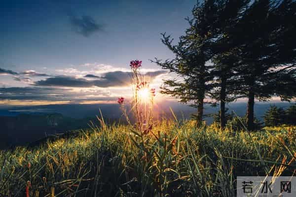 一眼就爱上！20个让你念念不忘的神仙句子，每一句都值得抄下来