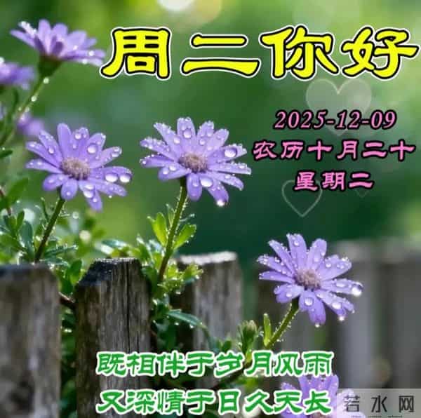 2025.12.09今日十月二十——早上好，周二祝福问候语，早安图片