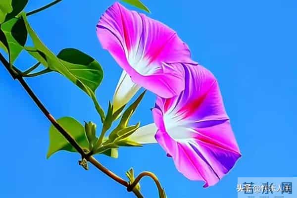 惊人的因果关系-男女之间,一旦发生暧昧关系,一辈子也忘不了