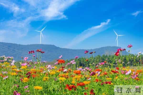 两性关系扒光给你看：10个的真相，不准反驳