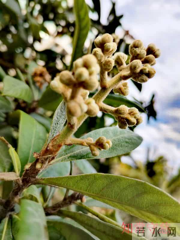 哥俩的命运(1)丈夫深夜被媳妇赶出了家门