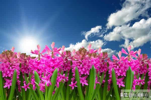 爸妈在我家养老十年，提前宣布分家产，哥哥分30万，弟弟拿一套房