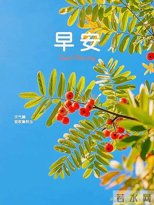 “周二早安:愿你在平凡里邂逅美好,在奔波中积攒力量~”