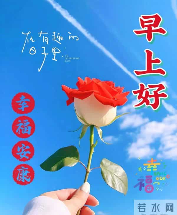 接住我的心意，愿你平安健康常伴，日日好心情！早上好！