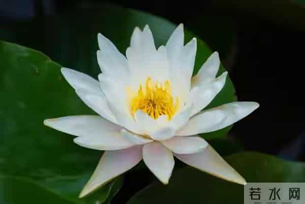 不管儿媳对你亲不亲,记住这3个理,晚年不憋屈