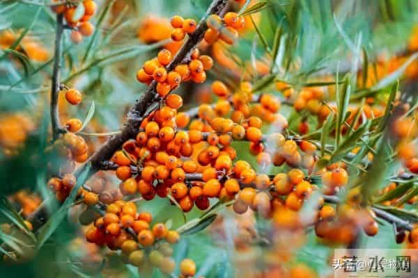 男人爱你”和“男人玩你”，身体语言不会说谎。