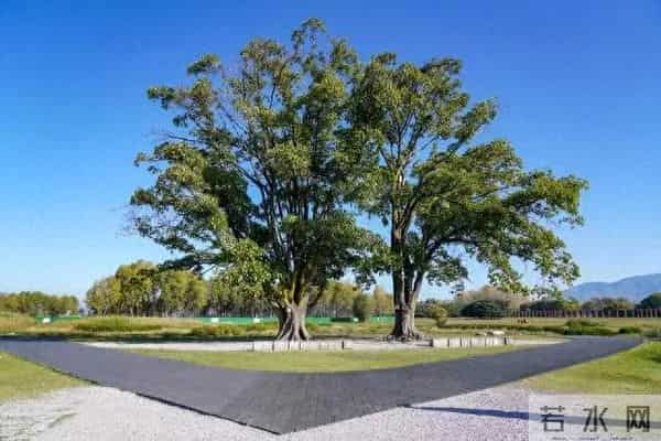 60岁老太太掏心窝子的话：晚年有没有老伴，日子真是两重天