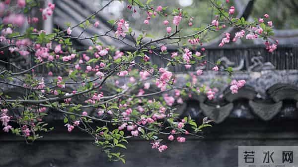 父亲过世老伴出差,公婆姑姐找借口没参加,女人收拾行李回了娘家