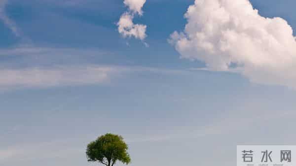 天蝎座,人算不如天算,12月11日至12月17号下周星座运势